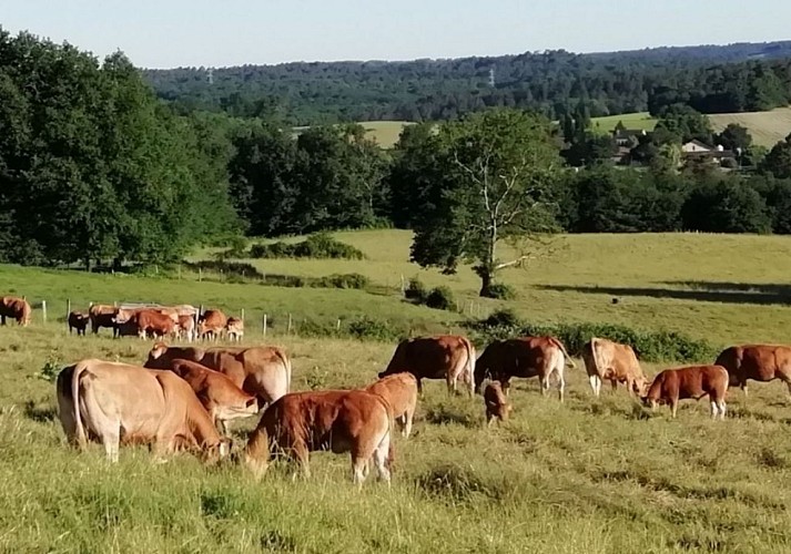 giteboisdentemps (3)