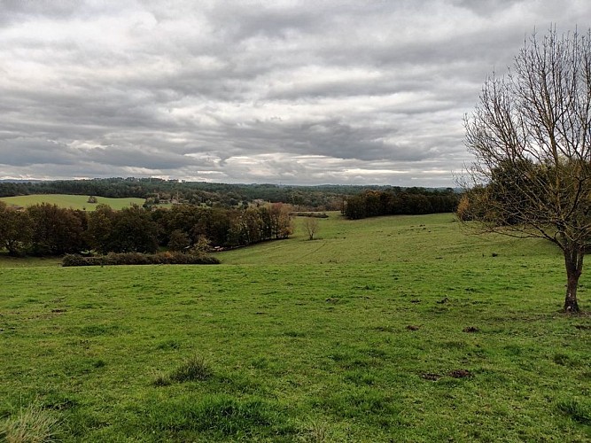 giteboisdentemps (5)