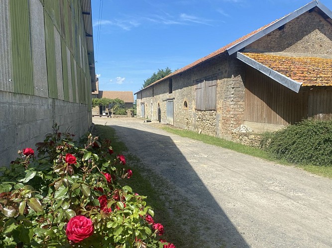 Allée - gite Le Petit Lotis