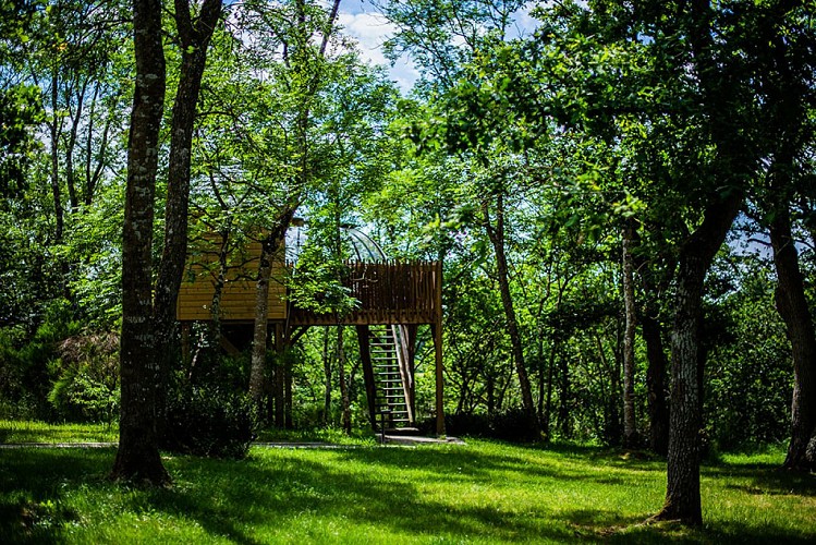 Les Insolites de JSK - Saint-Léonard-des-Bois - Le Dôme Perché