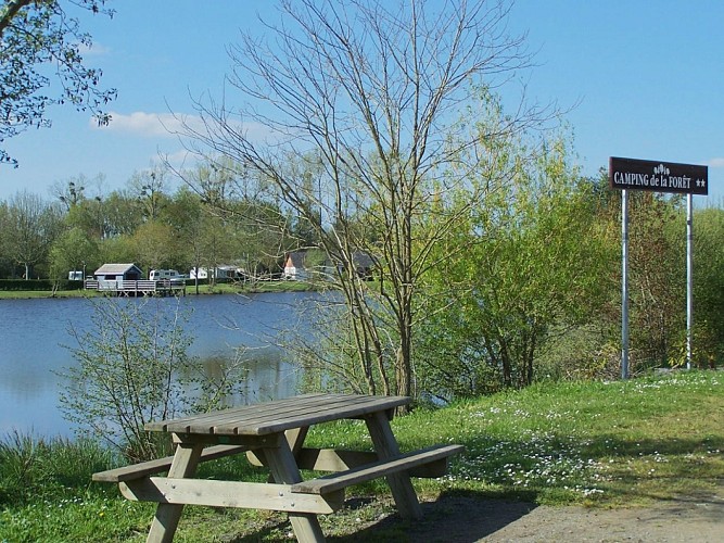CAMPING DE LA FORET **