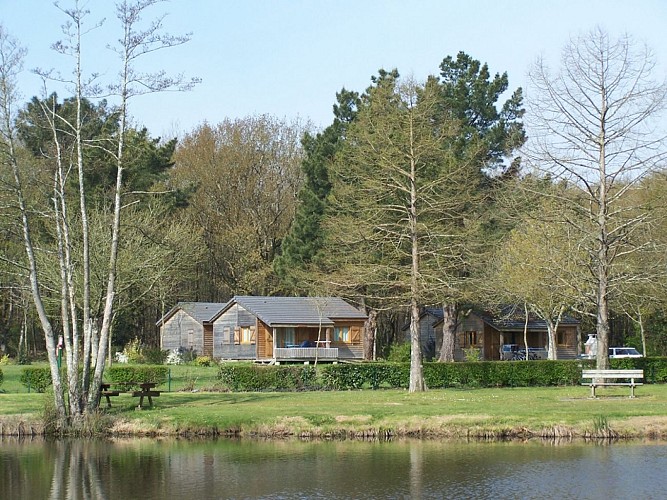 CAMPING DE LA FORET **