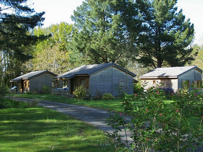 CAMPING DE LA FORET **