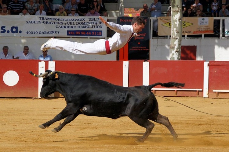 Villeneuve-de-Marsan---Course-Landaise---Arene---Saut-de-l-ange---Copyright-Celine-LAFFARGUE