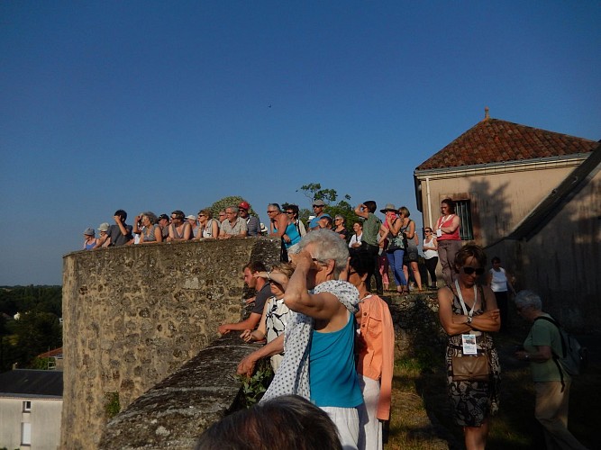 Visites guidées de l'ESIAM autour de Mauléon