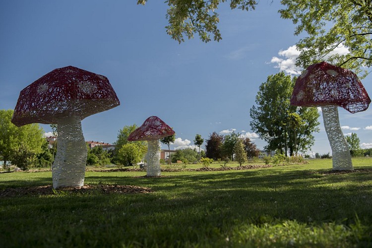 Prenez le frais à l'ombre des champignons géants