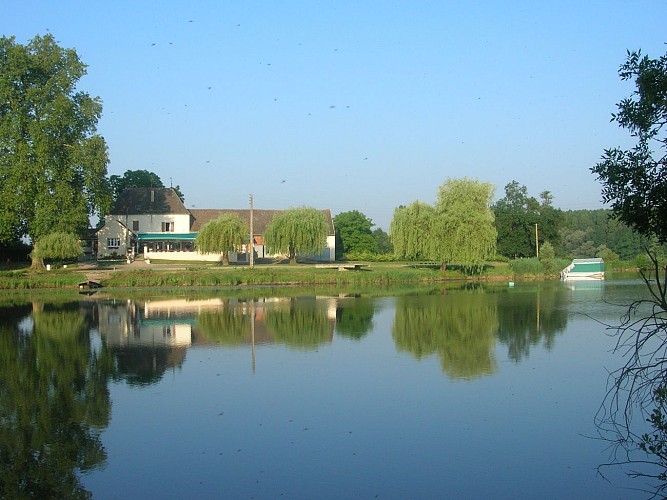 Epervans - Ile Chaumette - 2016 (2)