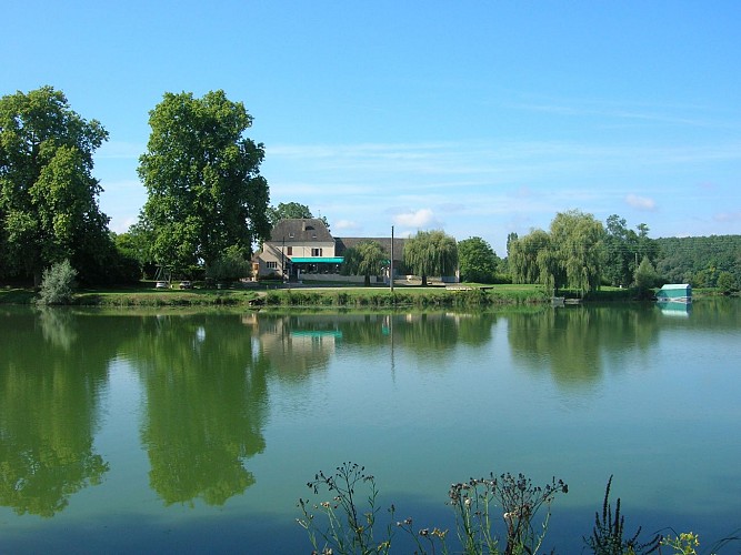 Epervans - Ile Chaumette - 2016 (3)