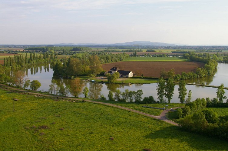 Epervans - Ile Chaumette - 2016 (4)