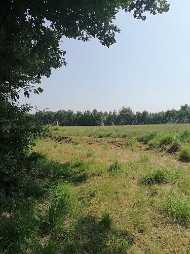 Cruce de Les Roudès