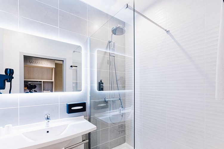 Ibis - Contres Cheverny-207