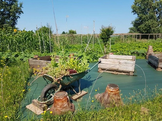 PCU_le jardin de Papy Paulo_Le Temple sur Lot_cultures