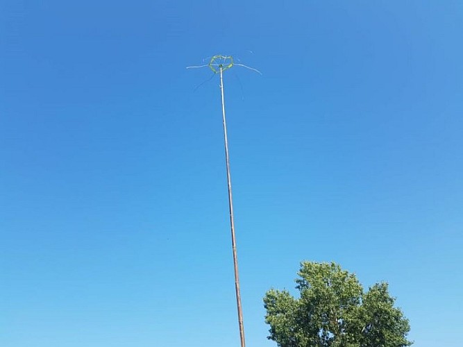 PCU_le jardin de Papy Paulo_Le Temple sur Lot_électroculture