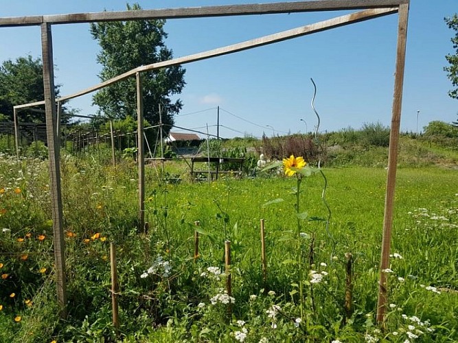 PCU_le jardin de Papy Paulo_Le Temple sur Lot_étoile au nb sacré