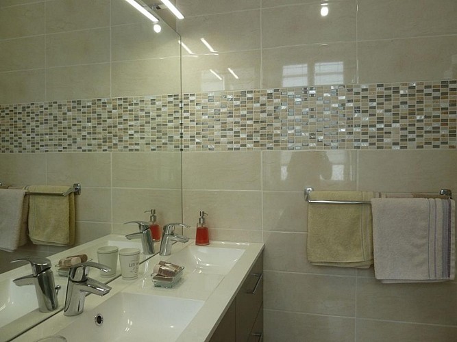 salle-de-bain-calisson- Maison de la Fontaine (TIS)