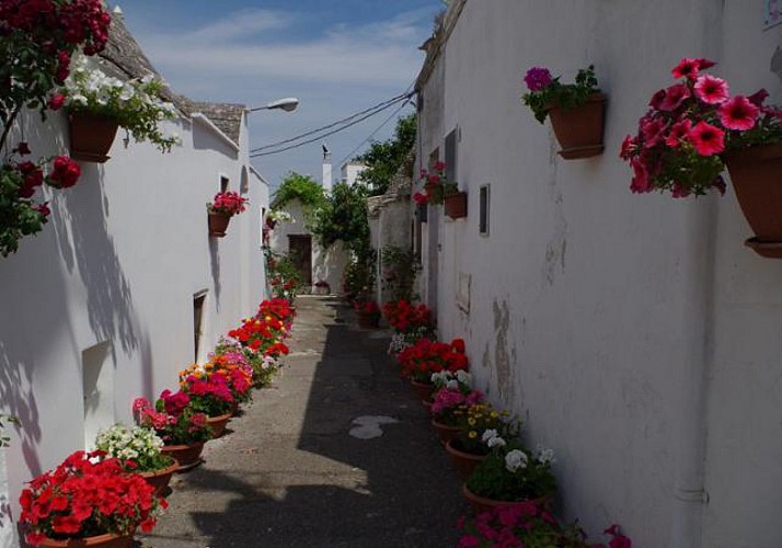 Visite guidée privée d'Alberobello et dégustation de fromages locaux - En français