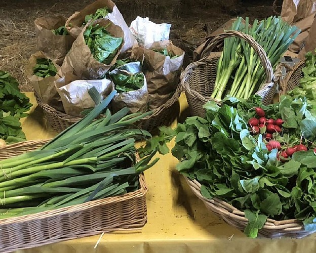 Ferme à Vatimont on sème