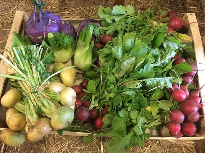 Ferme à Vatimont on sème