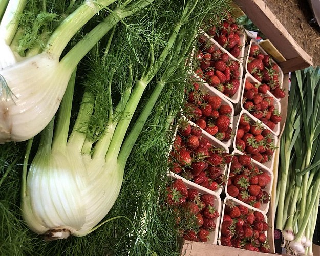 Ferme à Vatimont on sème