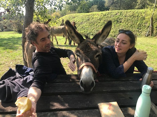 Aux aneries de la Dordonie (1)