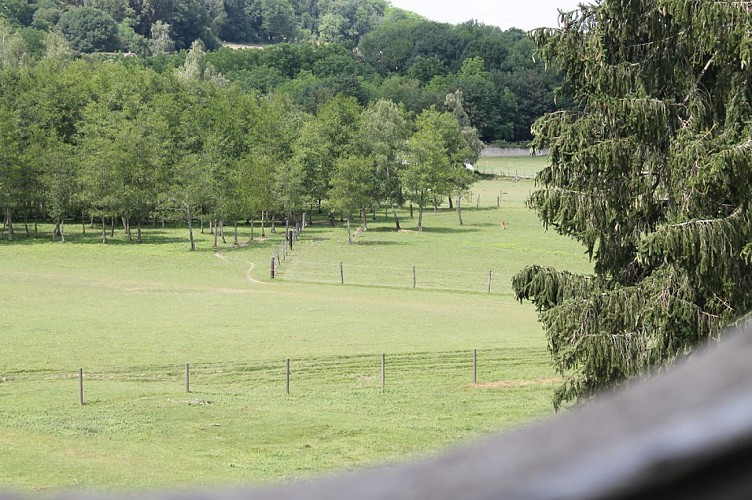 Légende photo extérieur 2_8