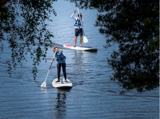 Paddle rigide