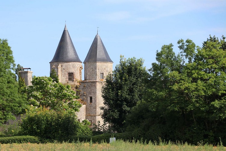 Château de Courcelles-le-Roi, les 2 tours