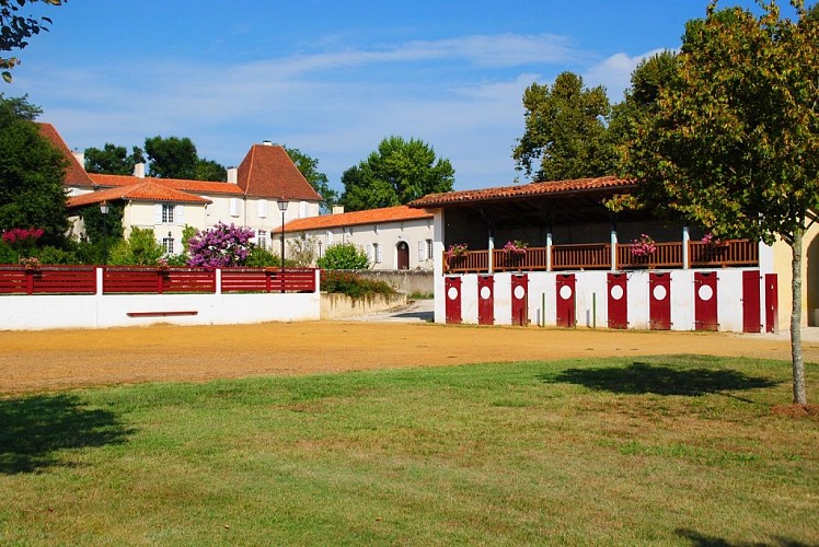 Arènes et chateau de Caupenne - version 2