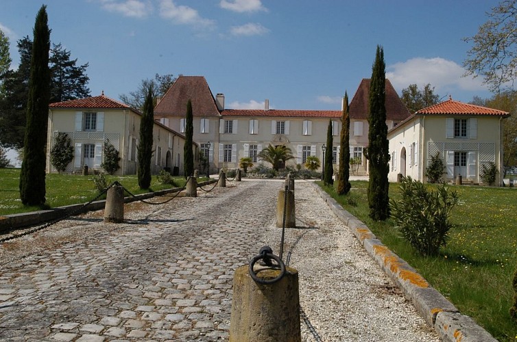 Château de Caupenne - l'allée