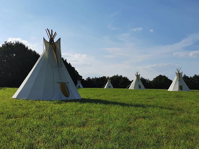 TIPIS MOHAIR DE L'ERDRE