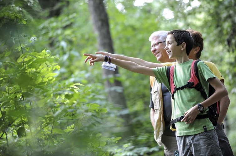 Site du Mont de l'Enclus