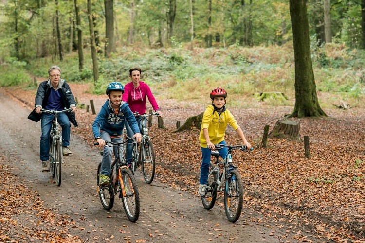 Site du Mont de l'Enclus