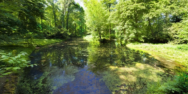 Parc du Château d'Attre