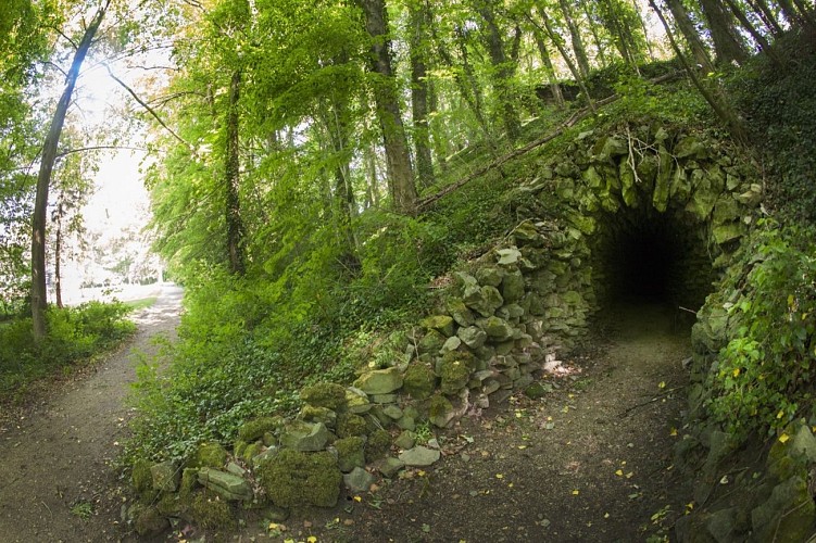 Parc du Château d'Attre