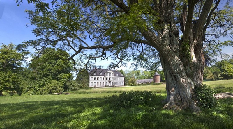 Parc du Château d'Attre