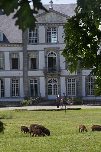 Parc du Château d'Attre