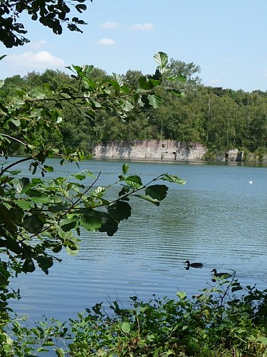 Ecopark lac 1