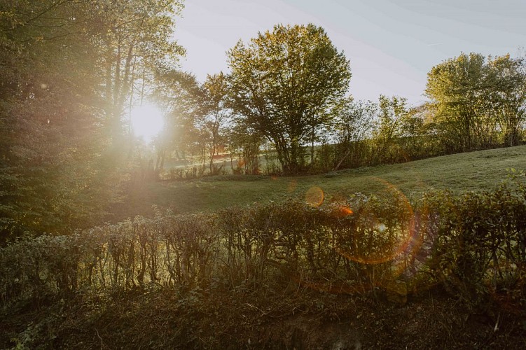 Près du bois' garden in Sivry-Rance