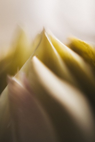 La Bonne Auberge à Viroinval