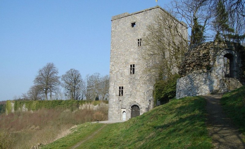 Ramparts and Salamander Tower in Beaumont