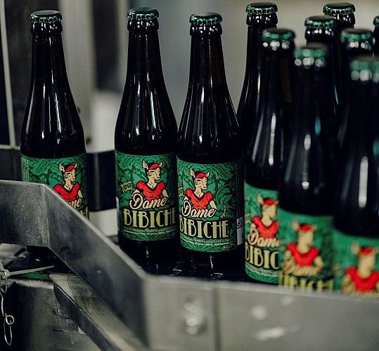 Flessen bier Dame bibiche in Doische