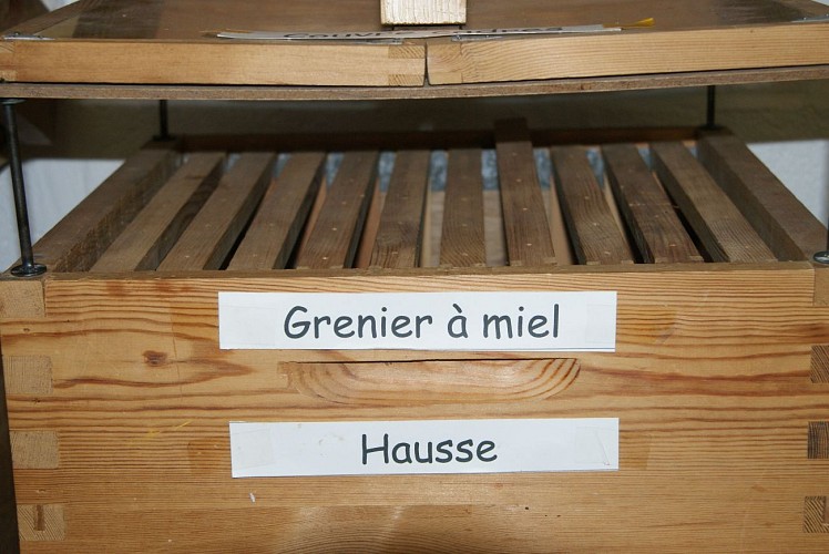 Museum des Honigs und der Biene in Lobbes