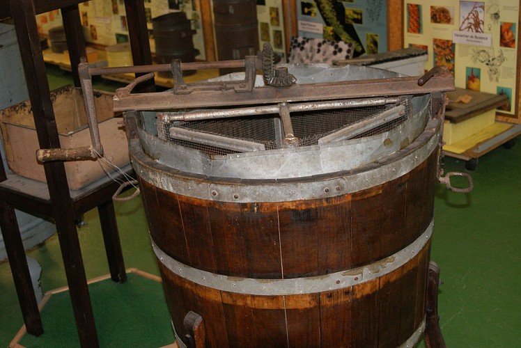 Museum van de Honing en Bij in Lobbes