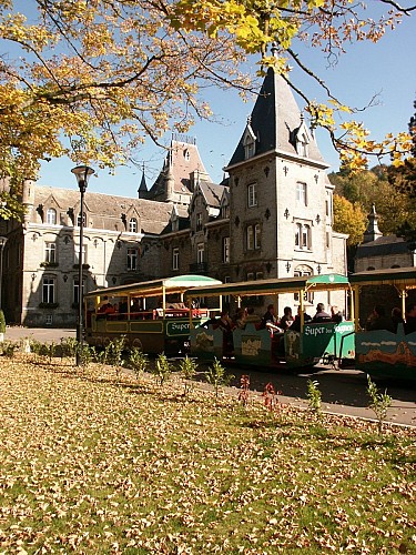 Petit Train Touristique dans le parc du chateau de Nismes à Viroinval