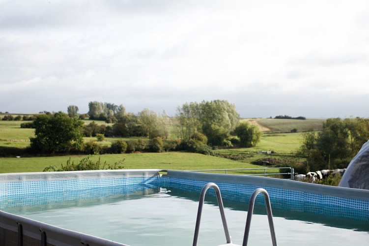 Pool at the Pré en Bulles cottage in Labuissière