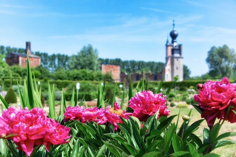 Havré - roseraie &amp; vue sur le château (2)