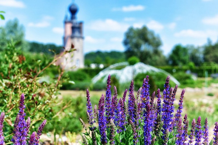 Havré - roseraie &amp; vue sur le château &amp; fontaine (9)