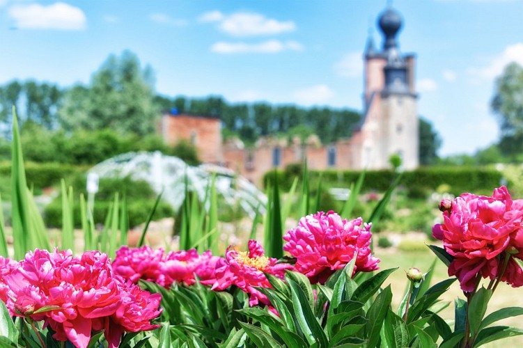 Havré - roseraie &amp; vue sur le château (4)