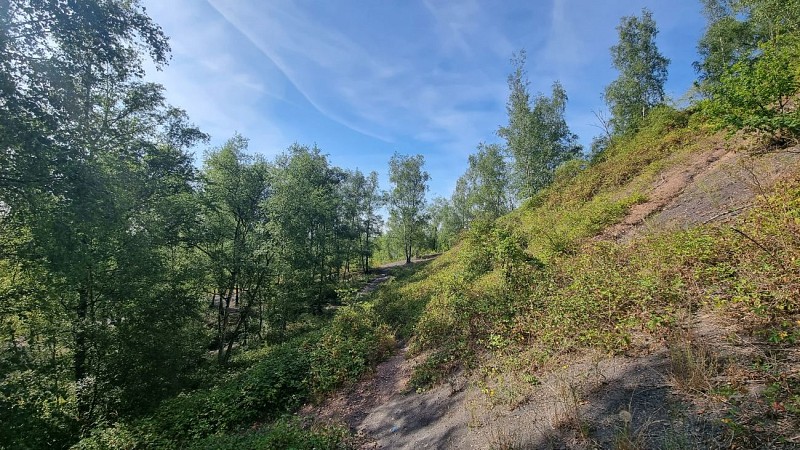 Terril de l'Héribus