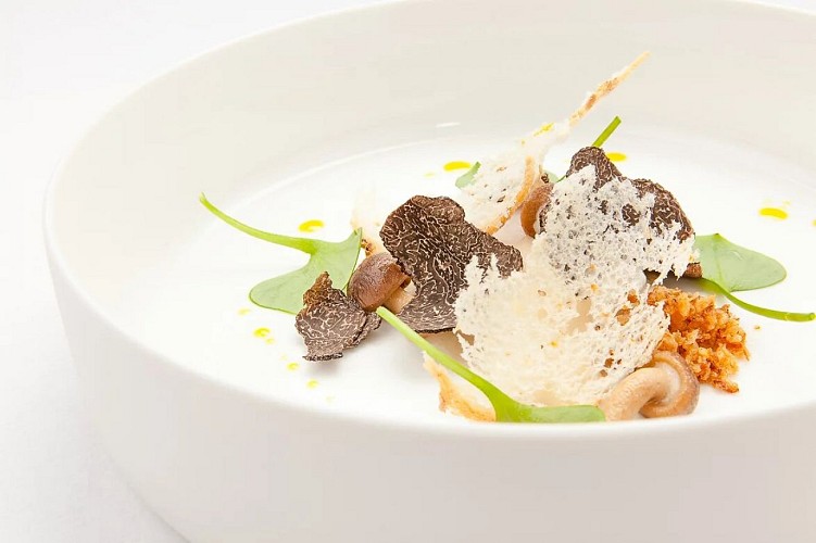 54e0cf_6f063016d99bd1d97e8d04ec93fb00fb